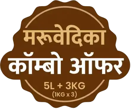 Desi Cow and Calf